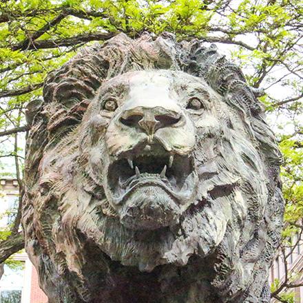 Columbia lion statue