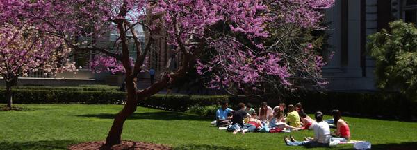 campus blossoms and students