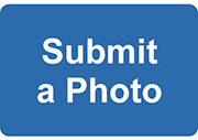 submit a photo button