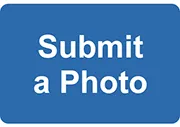 Submit a photo button